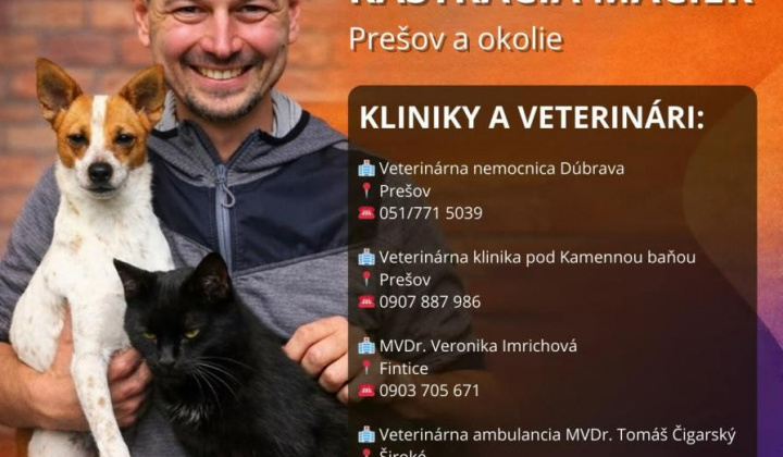1. fotografia fotogalérie Bezplatná kastrácia mačiek a kocúrov  - foto